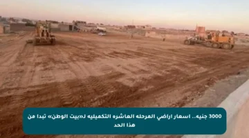 3000 جنيه.. أسعار أراضي المرحلة العاشرة التكميلية لـ«بيت الوطن» تبدأ من هذا الحد